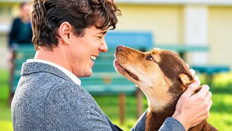 A Dog's Way Home 2019